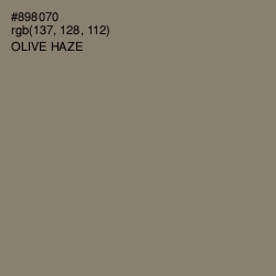 #898070 - Olive Haze Color Image